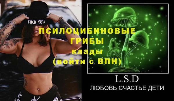 mdpv Каменногорск