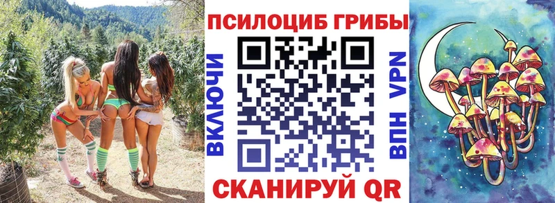 Псилоцибиновые грибы Cubensis  Купить где  Белгород 